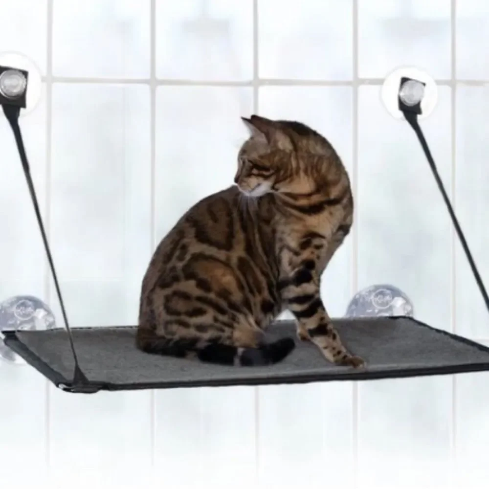 Light blue perch for your cat to put in the window with suction